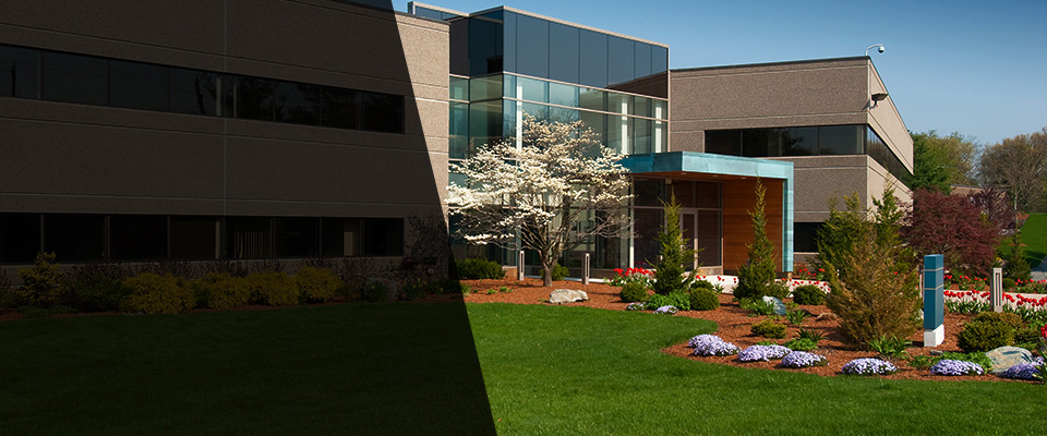 Williamson Landscapers